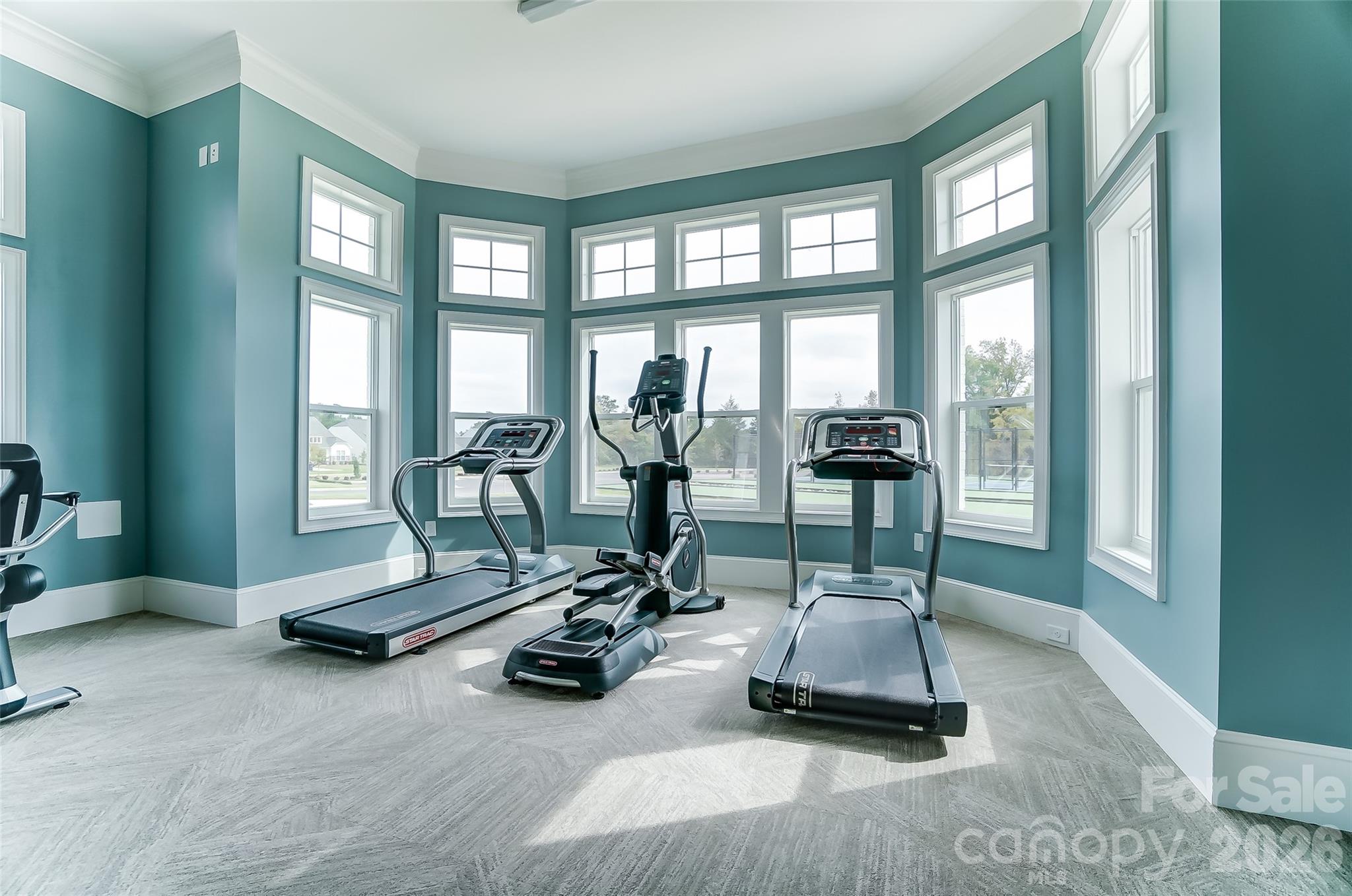 2019 Mantle Rdg Drive Indian Trail, NC 28079 - Photo 38 of 41 a view of a room with gym equipment