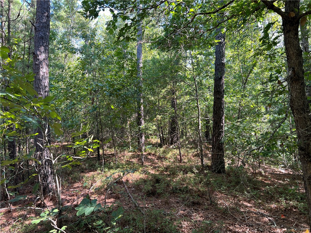 175 Old Henderson Road Central, SC 29630 - Photo 6 of 8 Mixed woodlands