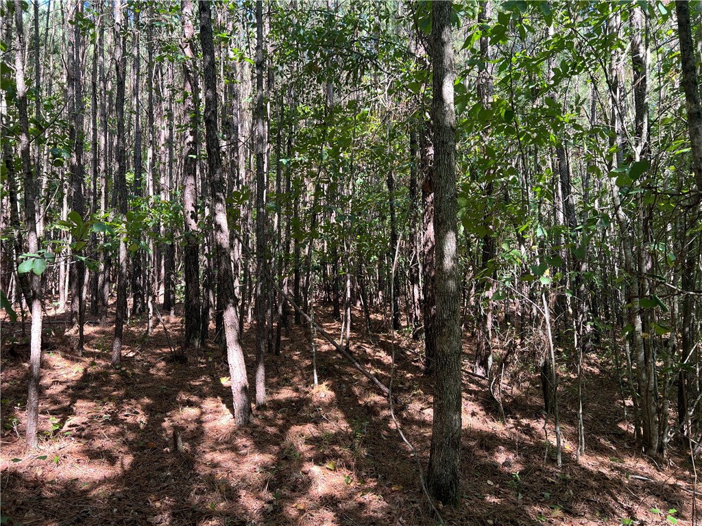 175 Old Henderson Road Central, SC 29630 - Photo 8 of 8 Pines