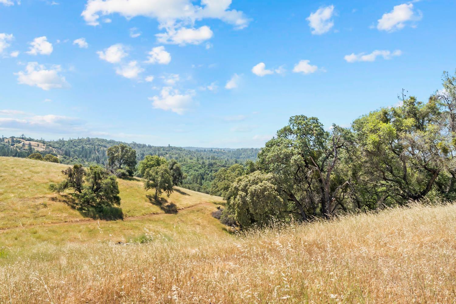 12850 Fiddletown Road Plymouth, CA 95669 - Photo 29 of 88