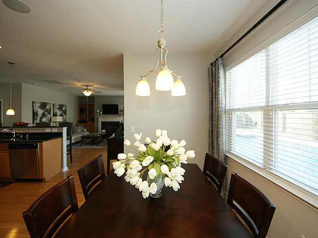 528 Chaff Lane Moncks Corner, SC 29461 - Photo 18 of 46 18