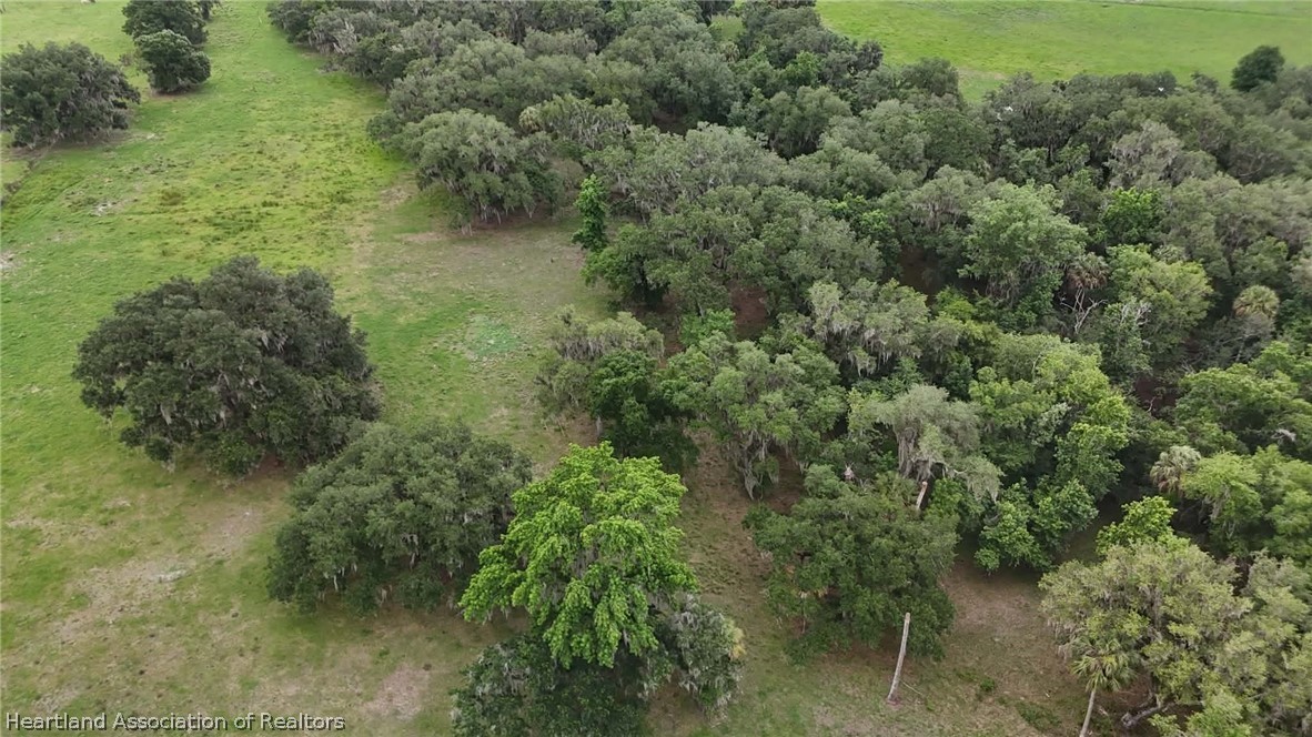 Popash Road Wauchula, FL 33873 - Photo 24 of 29 a view of a forest with a tree