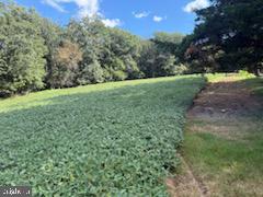 Mt Carmel Road Parkton, MD 21120 - Photo 9 of 15 Gallery Image 9