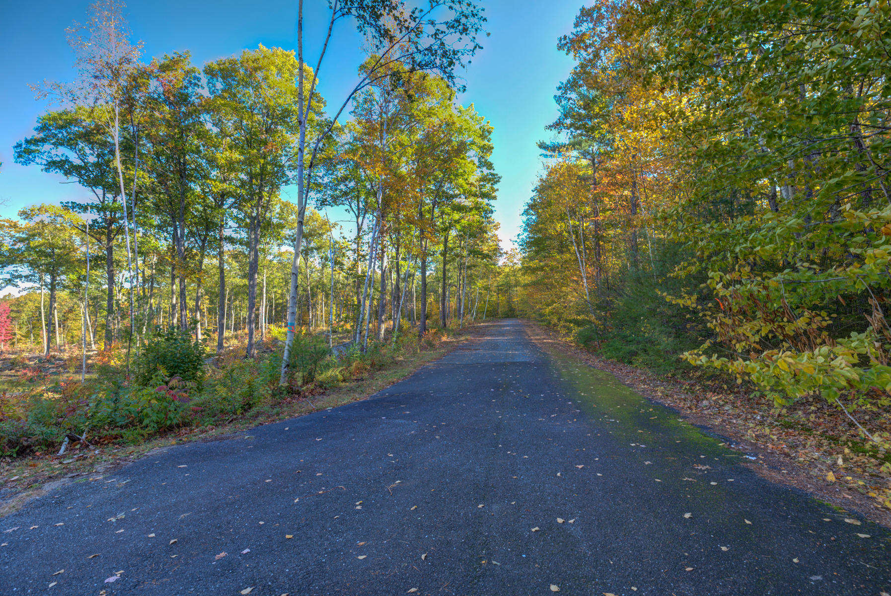 Lot 4 Birch Circle Harrison, ME 04040 - Photo 8 of 24 Pic#-7