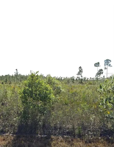 $32,500 | 903 Callandra Drive, Indian Lake Estates, FL 33843