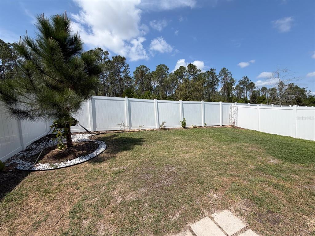2021 Hemingway Circle Groveland, FL 34736 - Photo 16 of 18 a view of a backyard