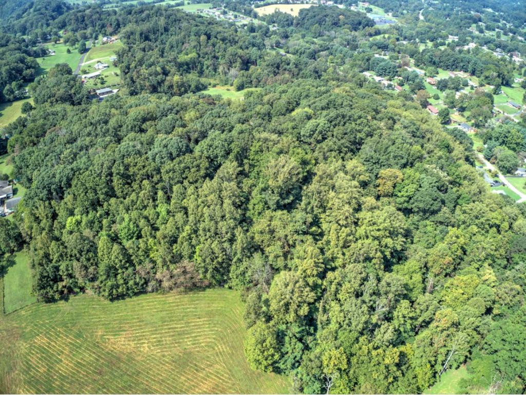 Tbd Samlola Road Blountville, TN 37617 - Photo 4 of 15 Photo 4