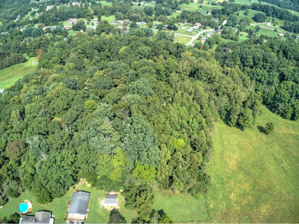 Tbd Samlola Road Blountville, TN 37617 - Photo 6 of 15 Photo 6