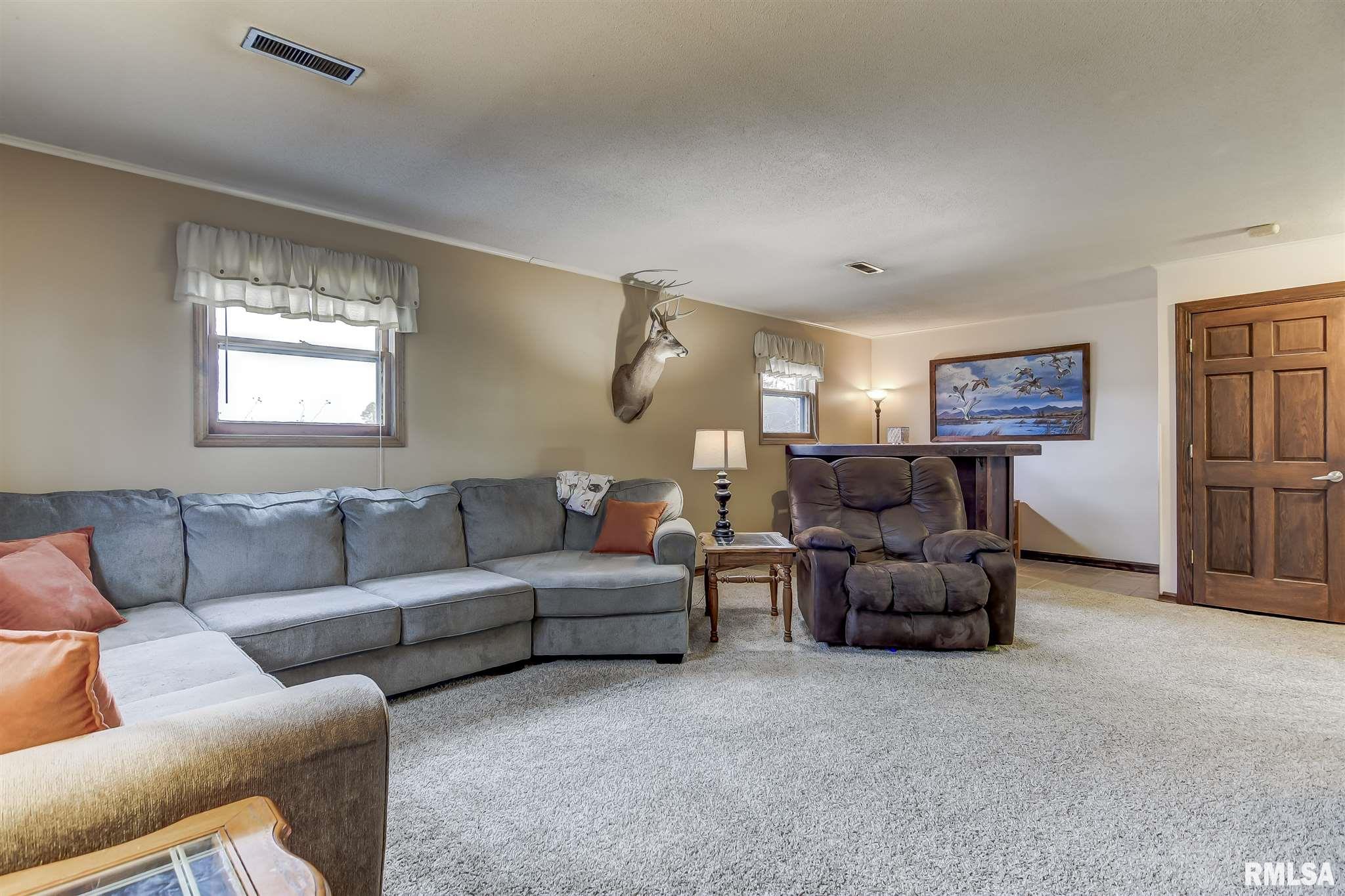 623 East Main Street Rochester, IL 62563 - Photo 29 of 41
