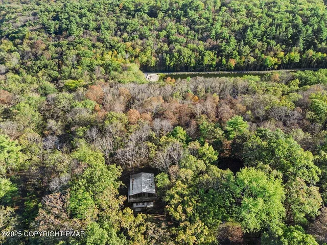 a view of a bench in a garden