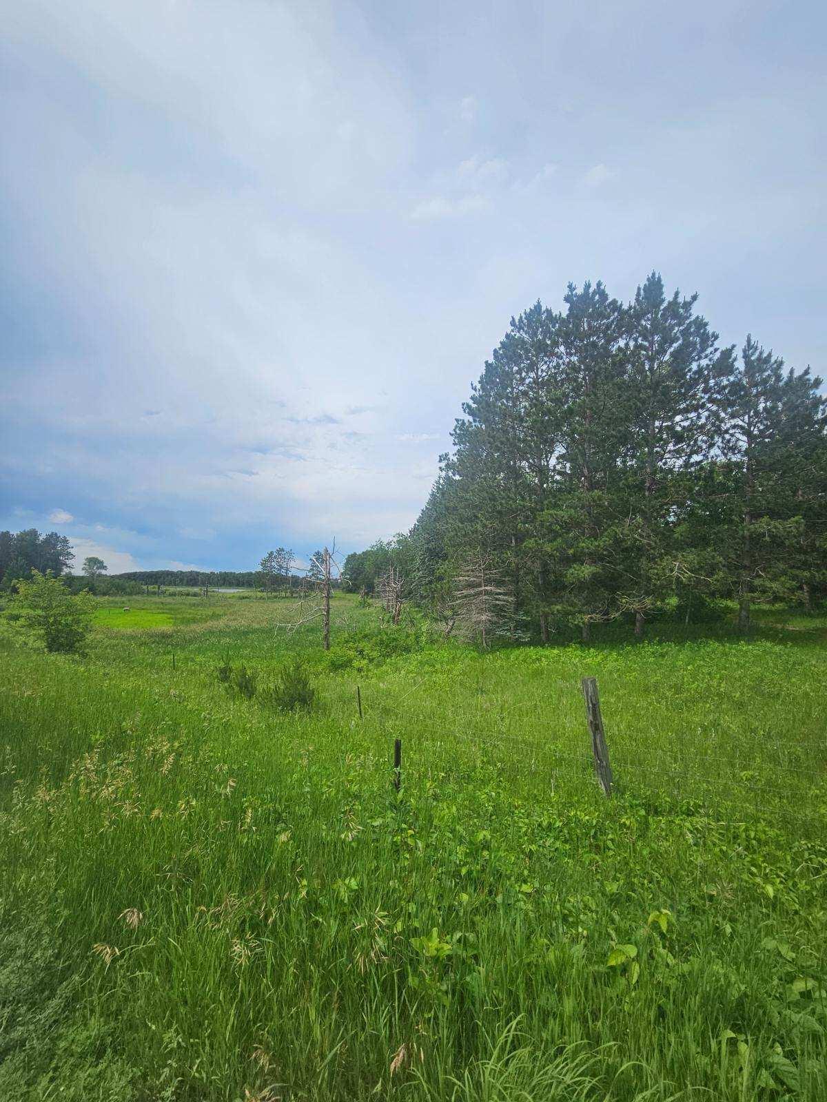 44985 400th Avenue Perham, MN 56573 - Photo 8 of 11