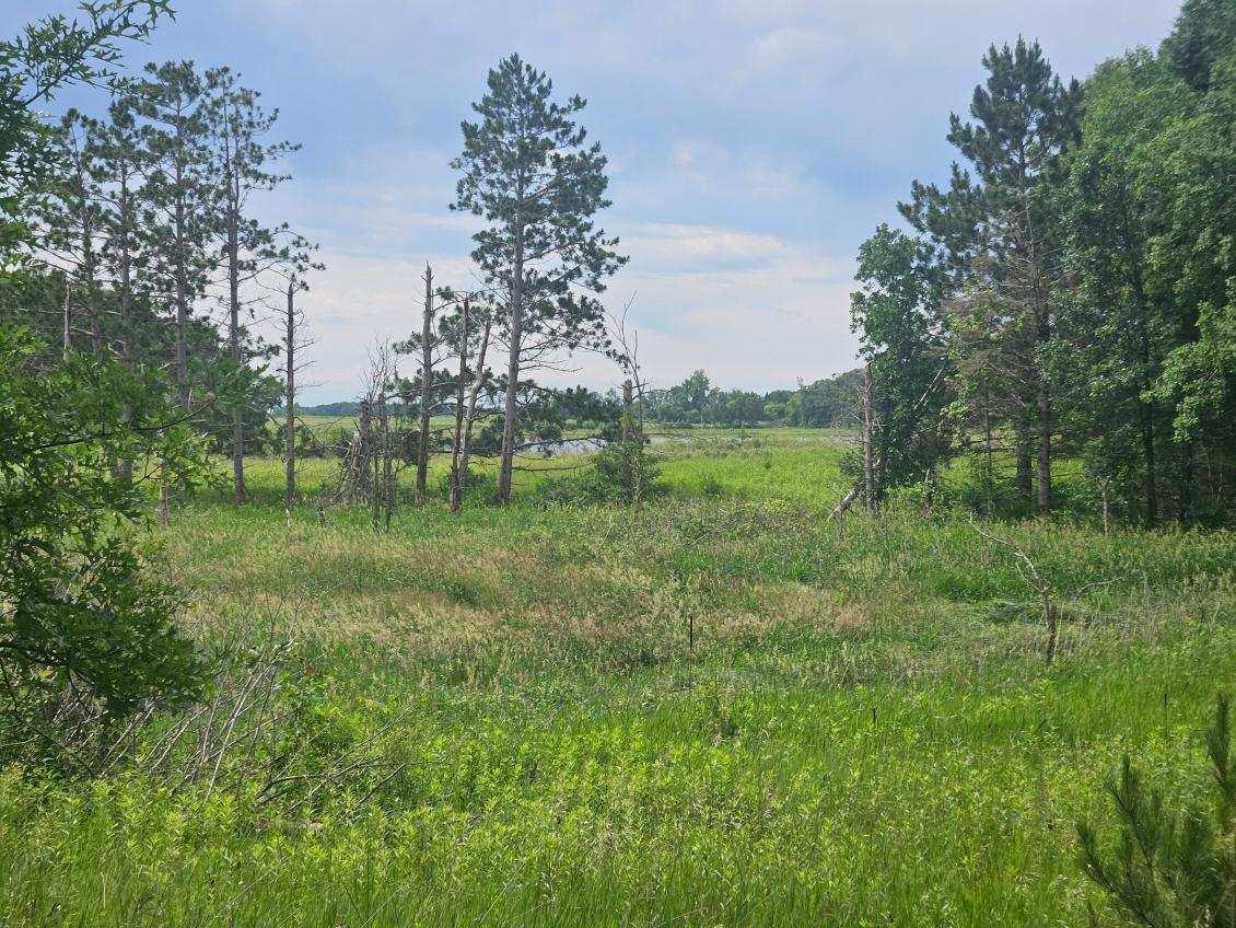 44985 400th Avenue Perham, MN 56573 - Photo 9 of 11