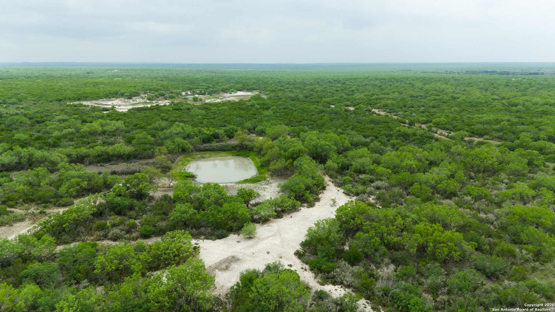 a view of a green field with lots of bushes