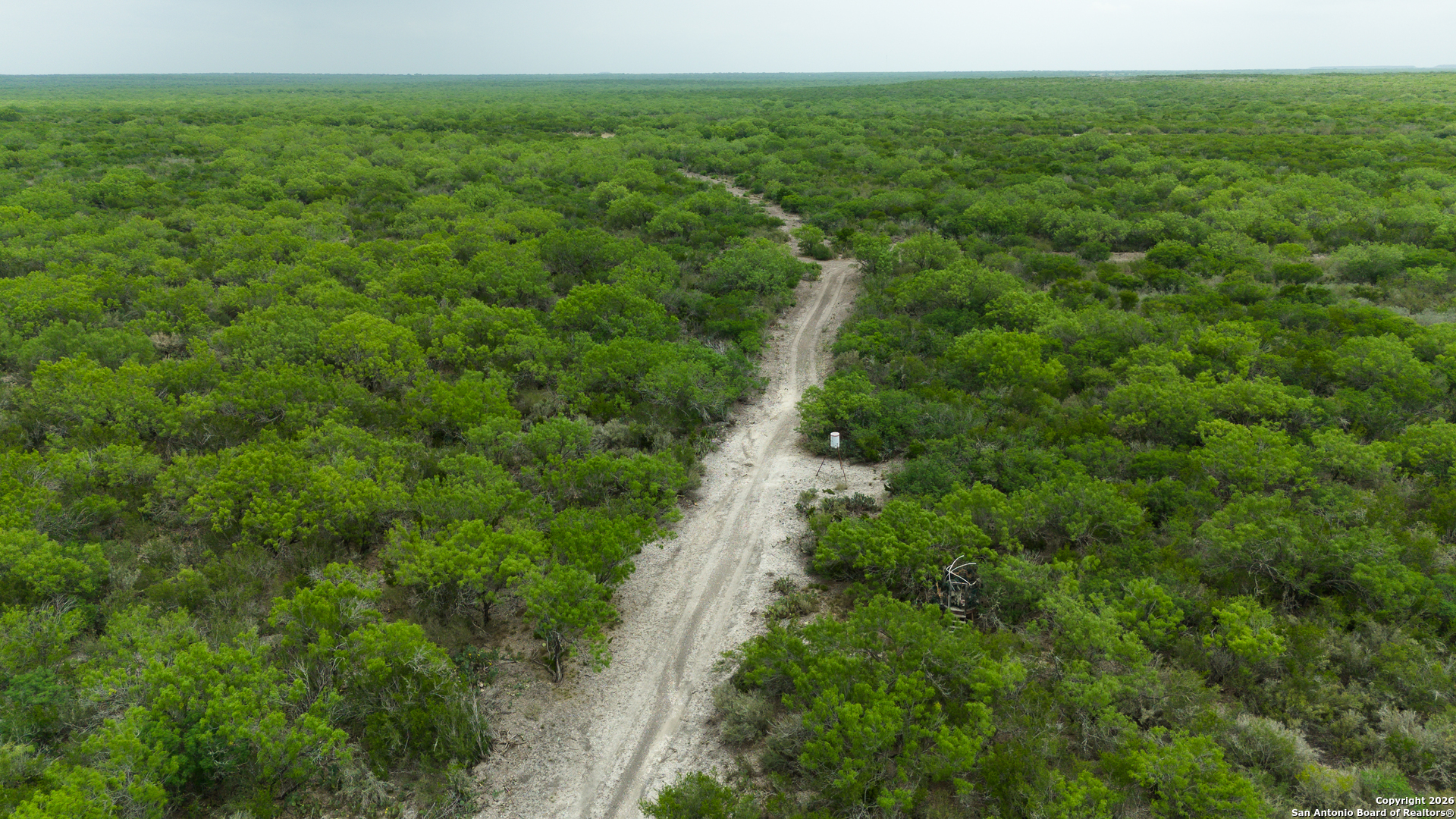 Tbd Old San Diego Road Tilden, TX 78072 - Photo 11 of 23 a view of a green field with lots of trees