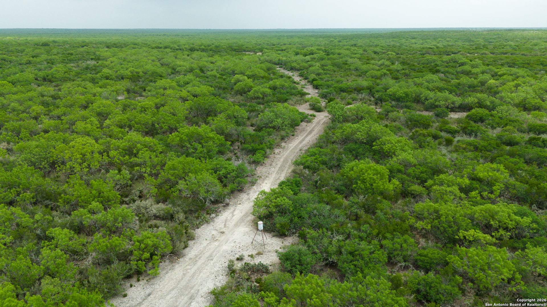 Tbd Old San Diego Road Tilden, TX 78072 - Photo 12 of 23 a view of a lush green forest with lots of trees