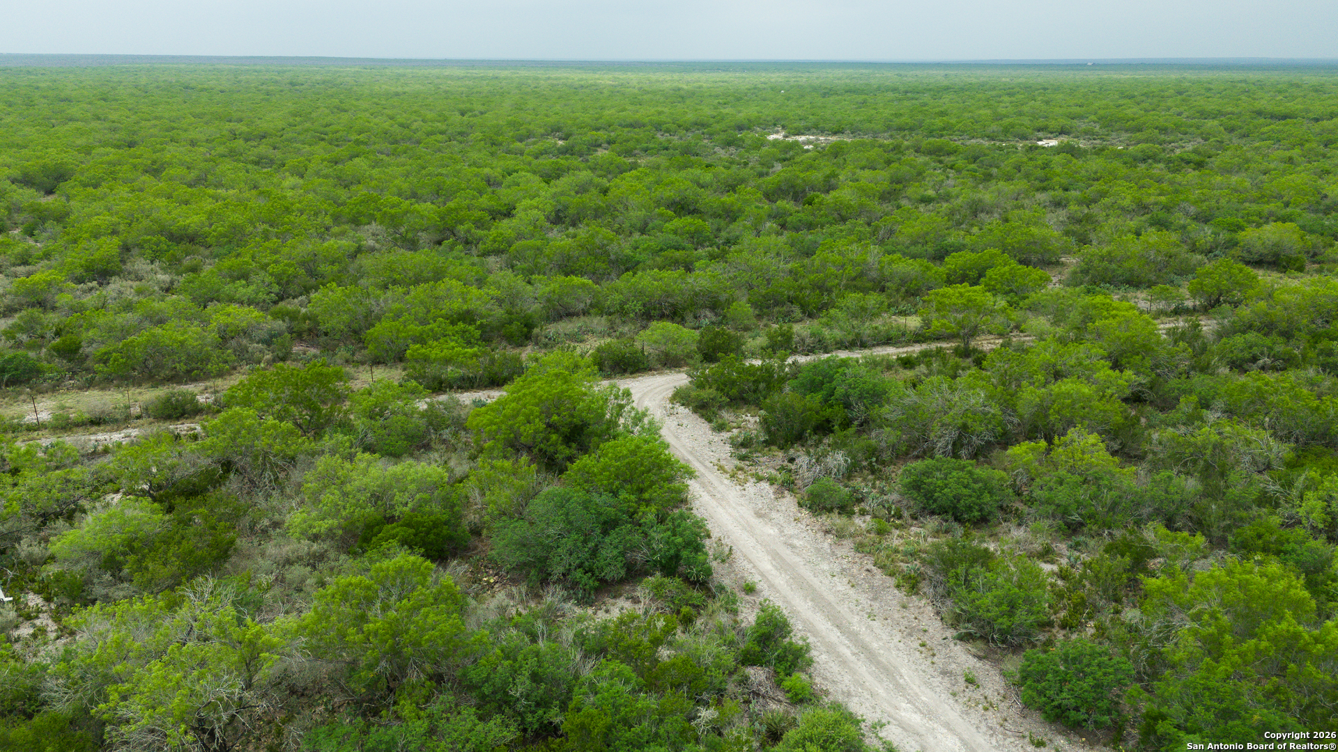 Tbd Old San Diego Road Tilden, TX 78072 - Photo 13 of 23 a view of a green field with lots of bushes