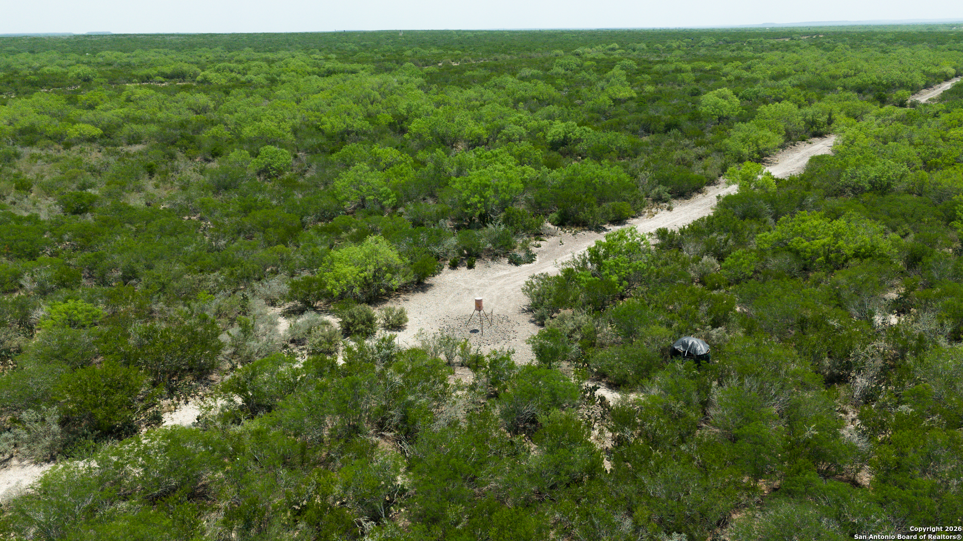 Tbd Old San Diego Road Tilden, TX 78072 - Photo 14 of 23 a view of a lush green forest