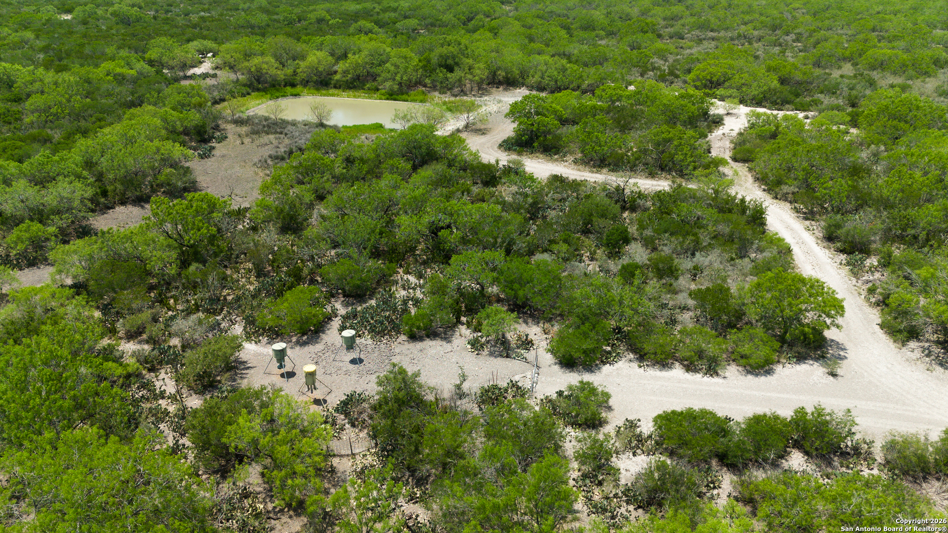 Tbd Old San Diego Road Tilden, TX 78072 - Photo 19 of 23 a view of a forest with a tree