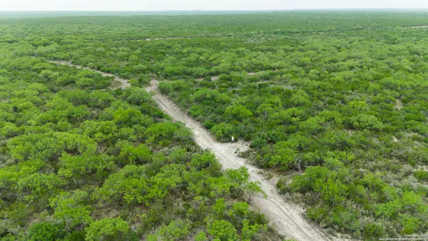 a view of a green field with lots of bushes