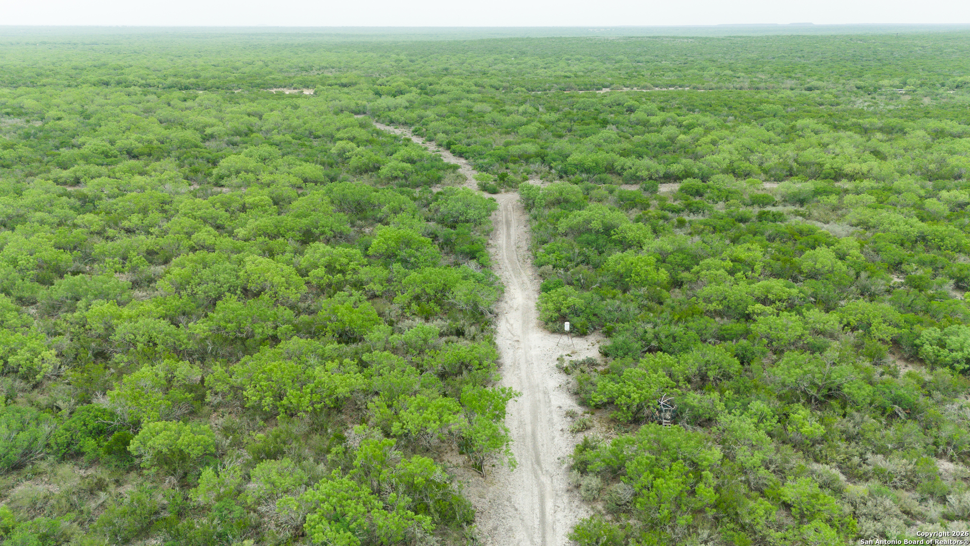 Tbd Old San Diego Road Tilden, TX 78072 - Photo 6 of 23 a view of a green field with lots of trees