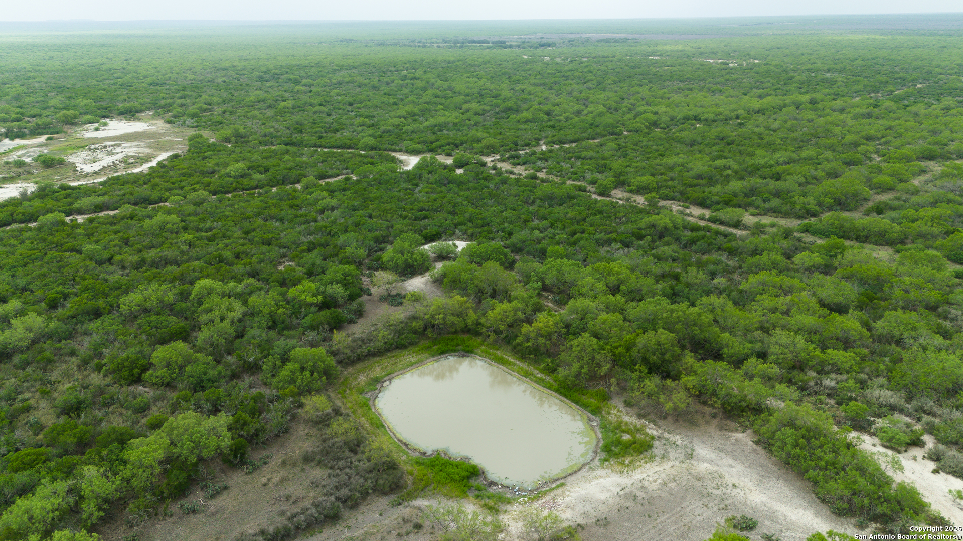 Tbd Old San Diego Road Tilden, TX 78072 - Photo 8 of 23 a view of a forest with a sink and yard