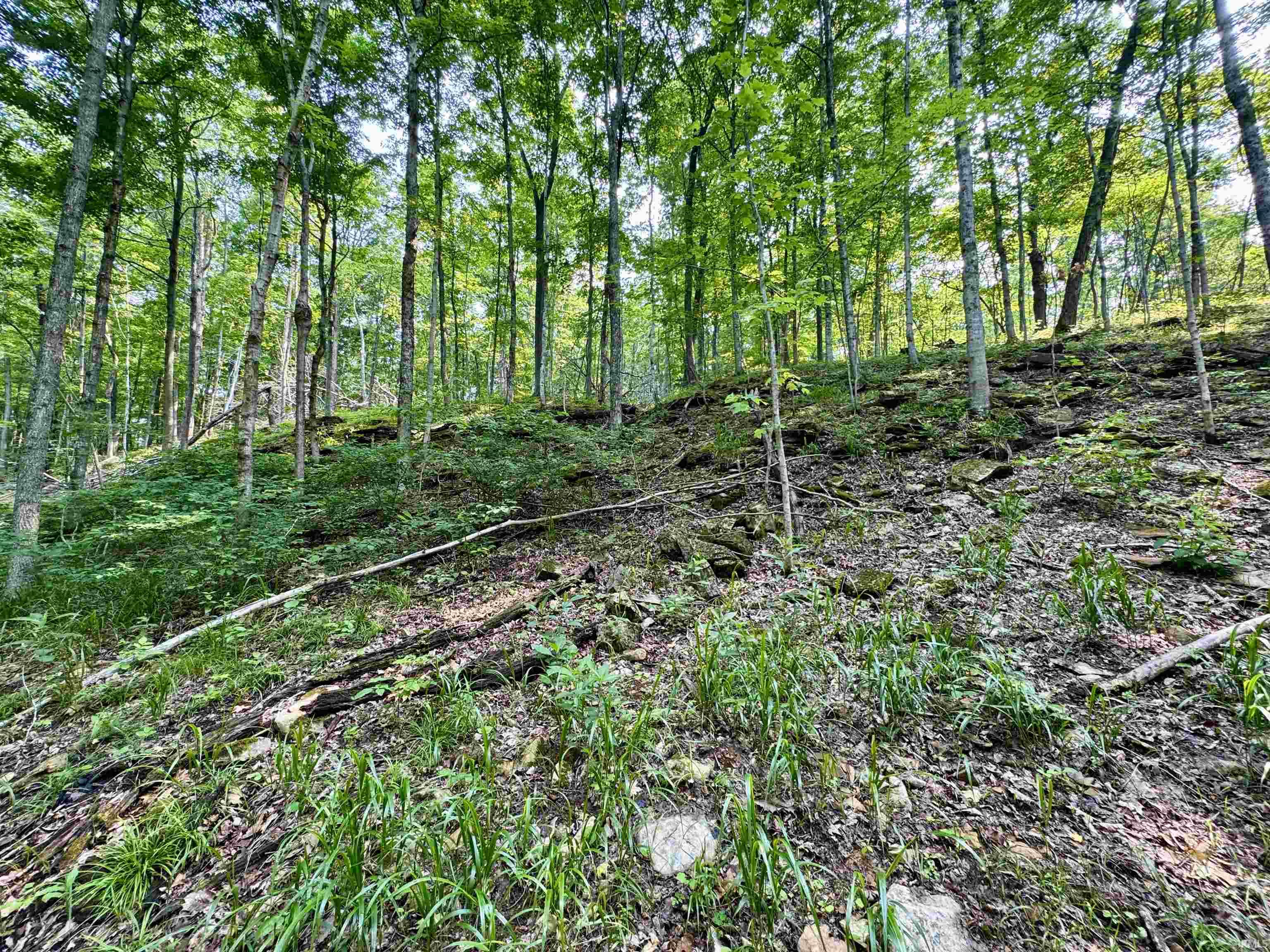 2 State Road 237 English, IN 47118 - Photo 11 of 19