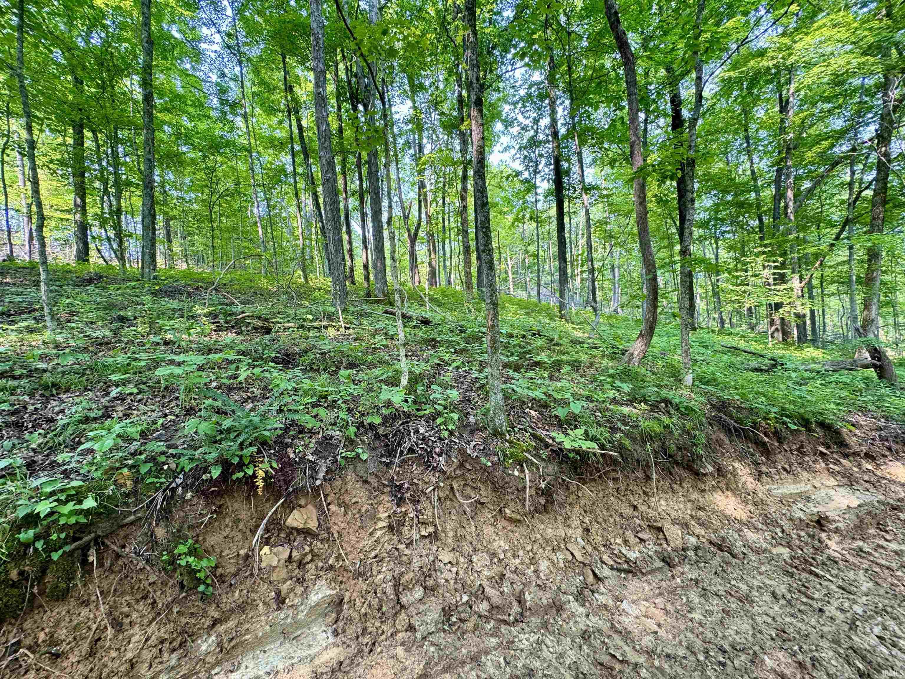 2 State Road 237 English, IN 47118 - Photo 14 of 19