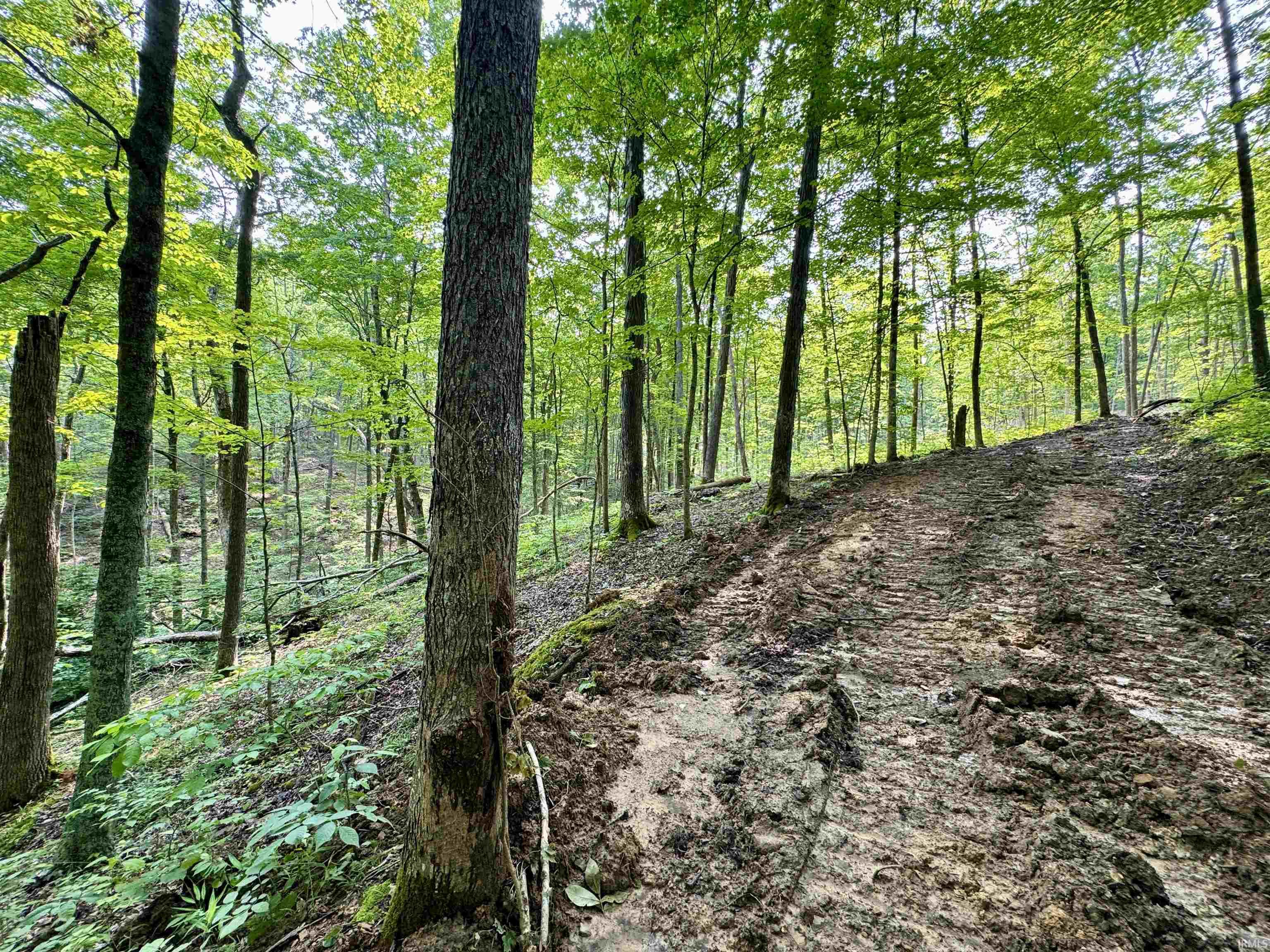 2 State Road 237 English, IN 47118 - Photo 15 of 19