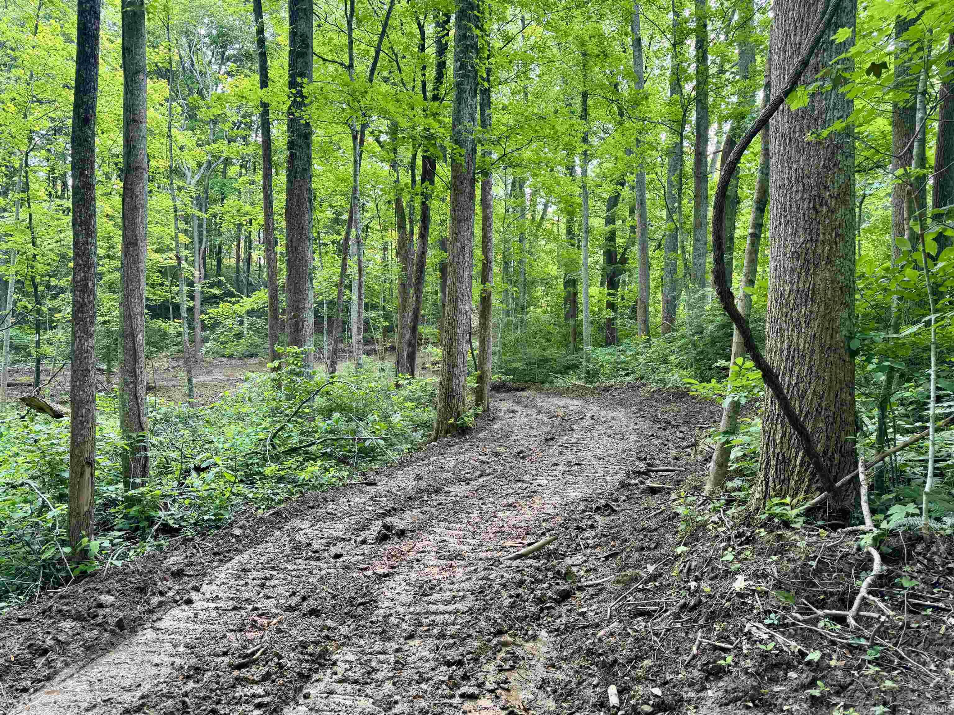 2 State Road 237 English, IN 47118 - Photo 17 of 19