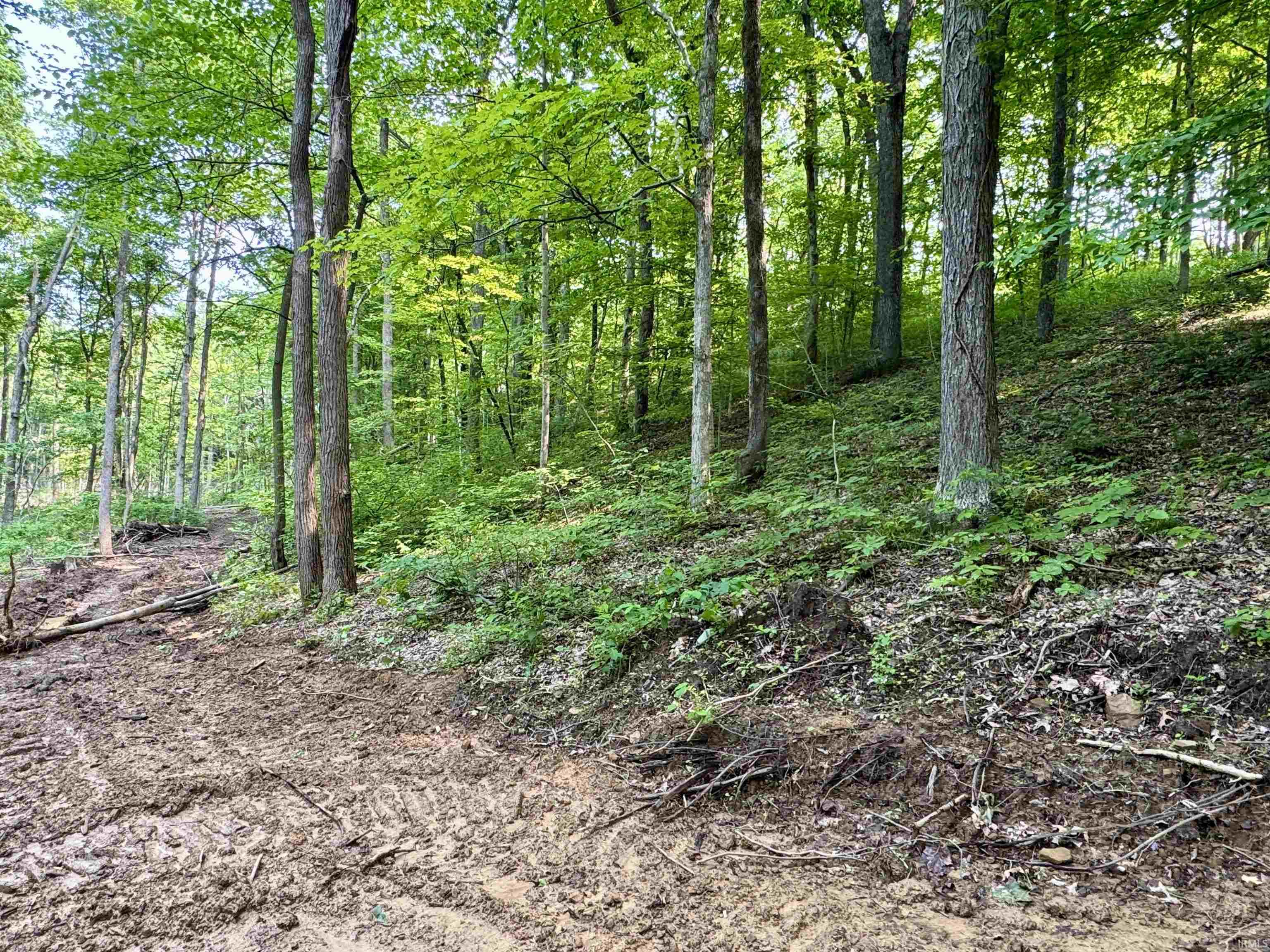 2 State Road 237 English, IN 47118 - Photo 18 of 19