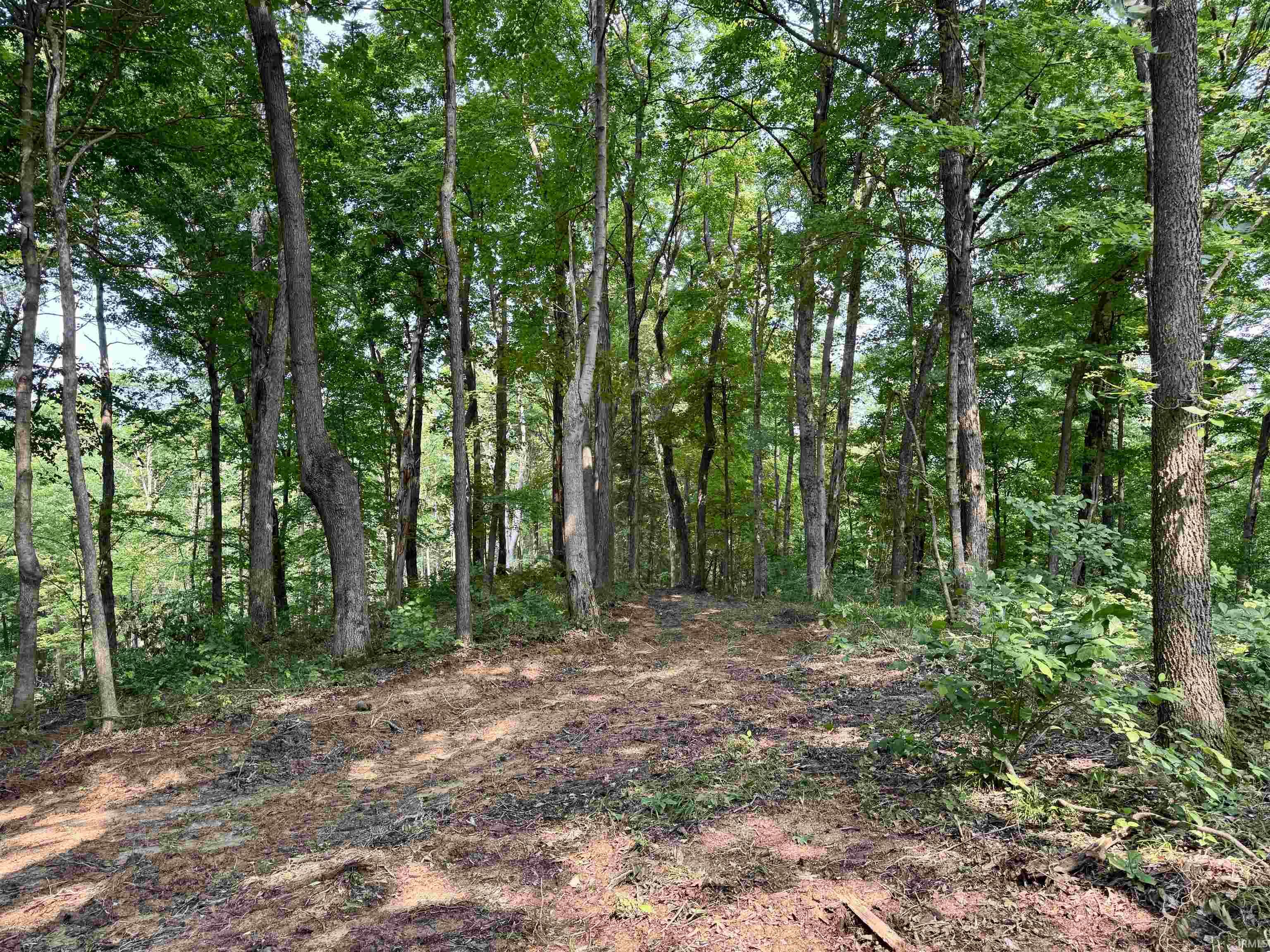 2 State Road 237 English, IN 47118 - Photo 5 of 19