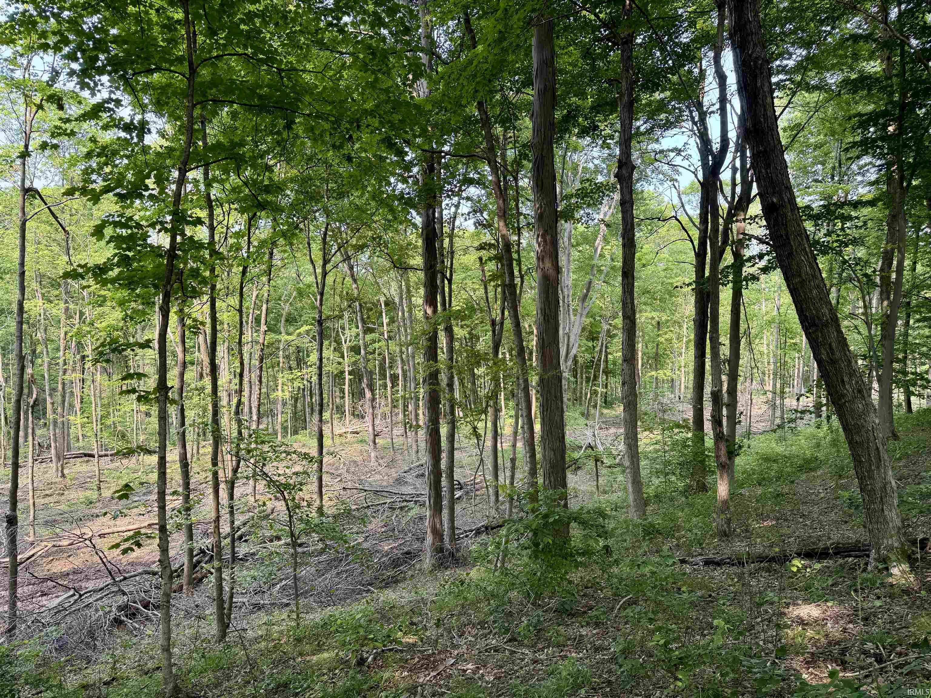 2 State Road 237 English, IN 47118 - Photo 6 of 19