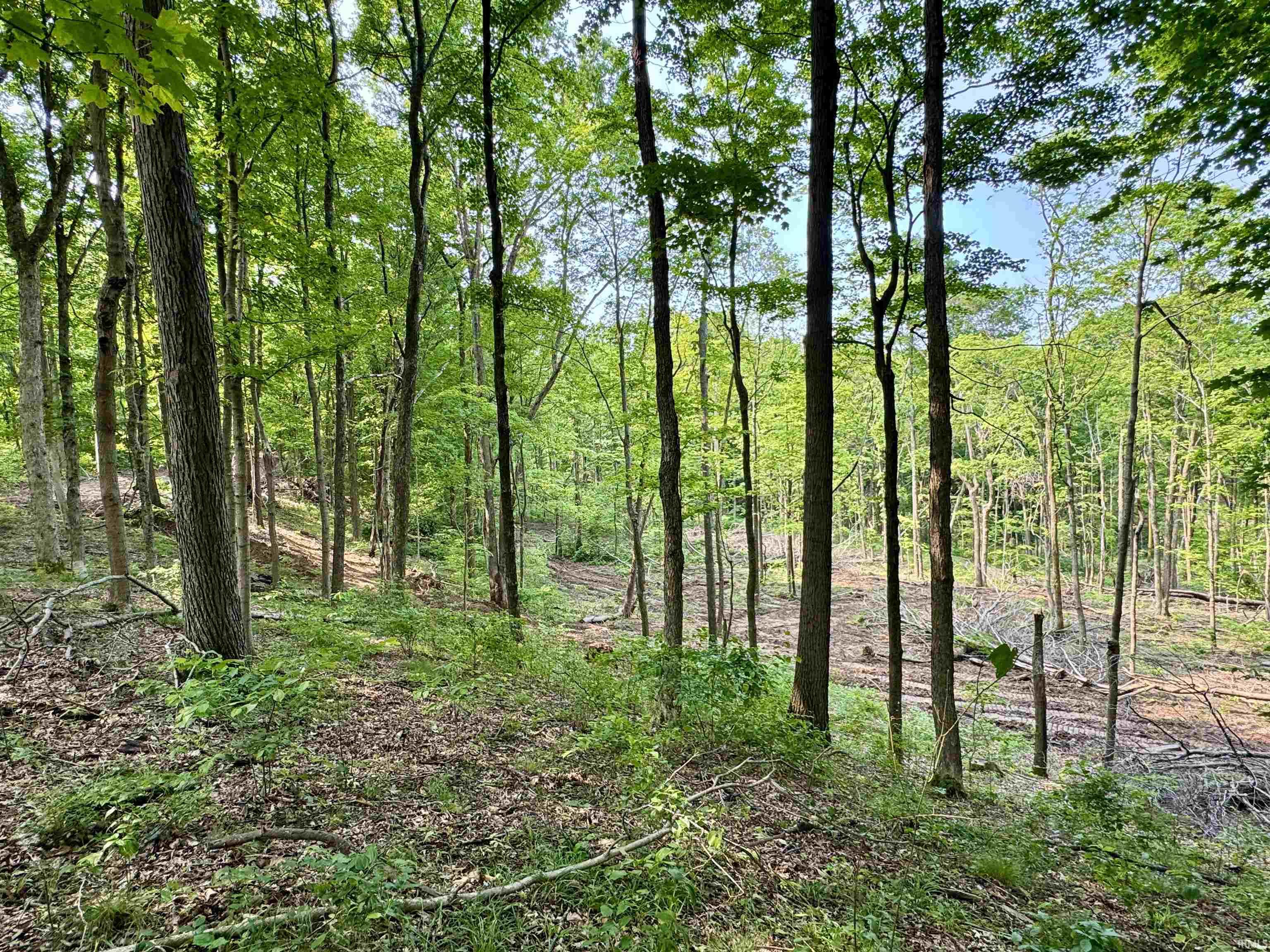 2 State Road 237 English, IN 47118 - Photo 7 of 19