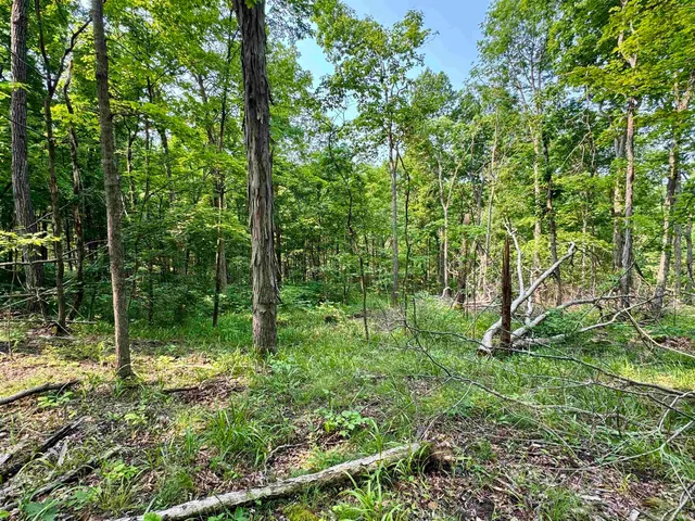 $174,900 | 2 State Road 237, English, IN 47118