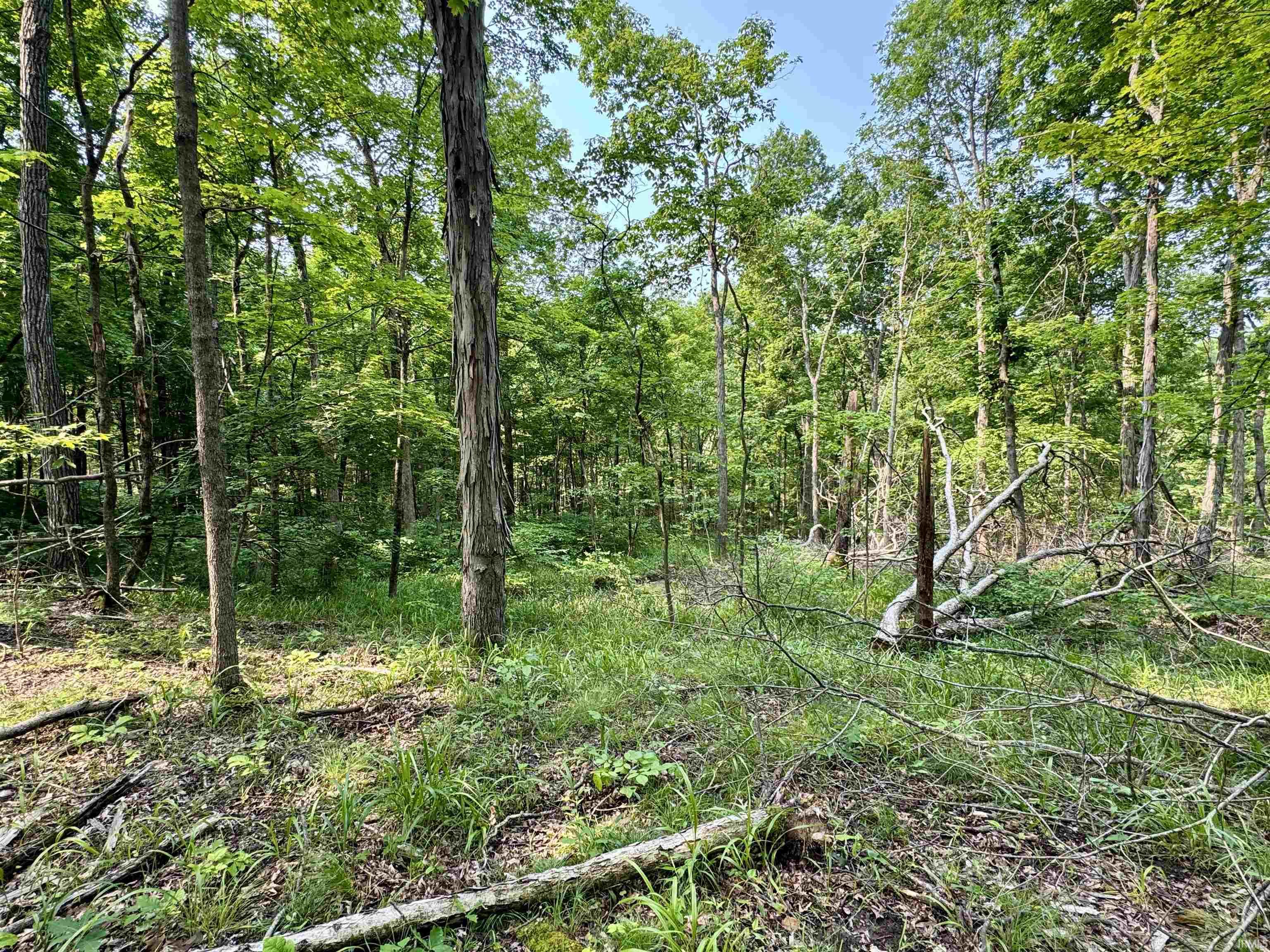 2 State Road 237 English, IN 47118 - Photo 8 of 19