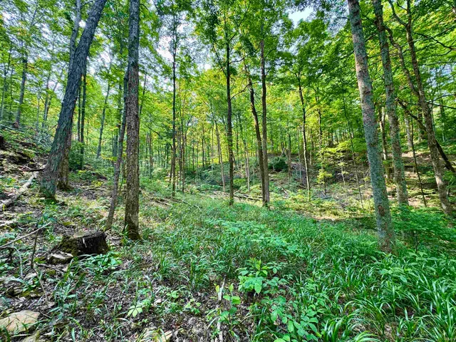 $174,900 | 2 State Road 237, English, IN 47118