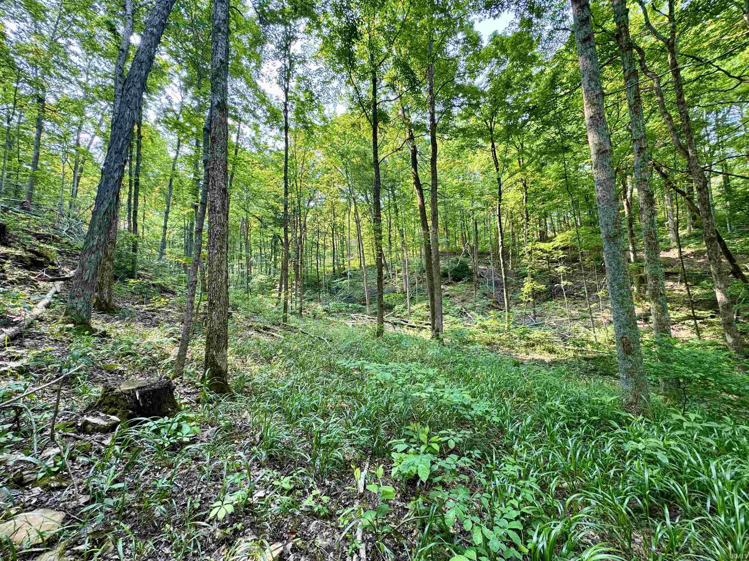 2 State Road 237 English, IN 47118 - Photo 10 of 19