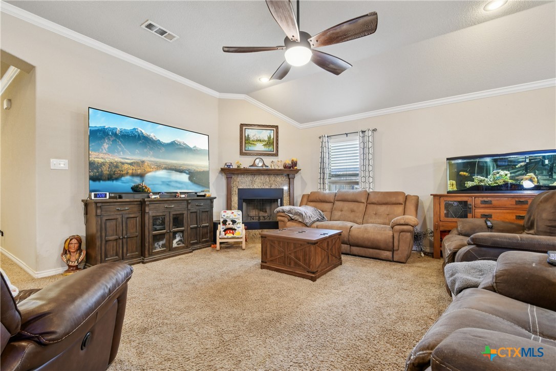 509 Dusty Lane Belton, TX 76513 - Photo 7 of 32