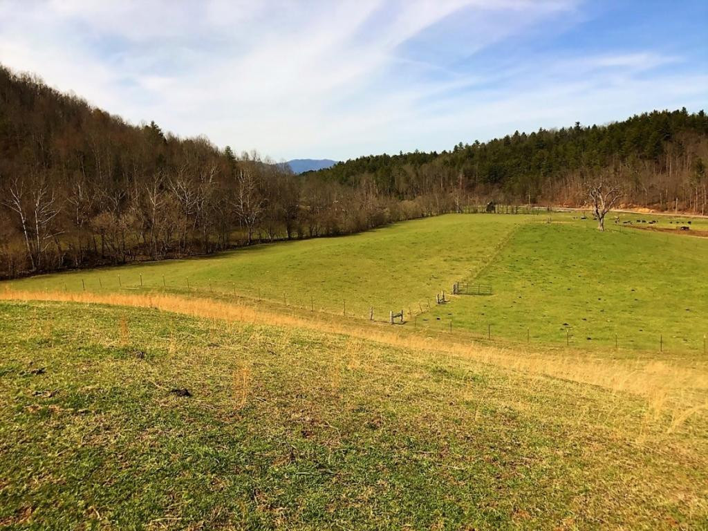107 Hwy Del Rio Tn 37727, Unit 1 Del Rio, TN 37727 - Photo 14 of 31 Photo 14