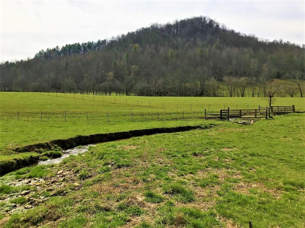 107 Hwy Del Rio Tn 37727, Unit 1 Del Rio, TN 37727 - Photo 27 of 31 Photo 27