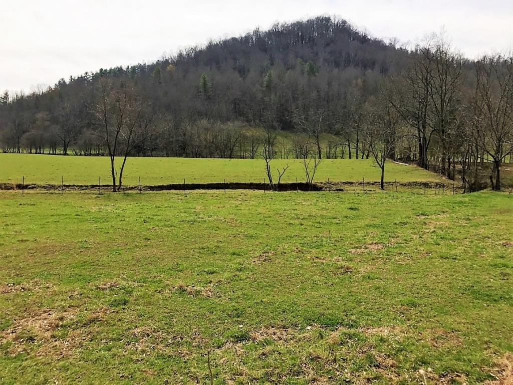 107 Hwy Del Rio Tn 37727, Unit 1 Del Rio, TN 37727 - Photo 30 of 31 Photo 30
