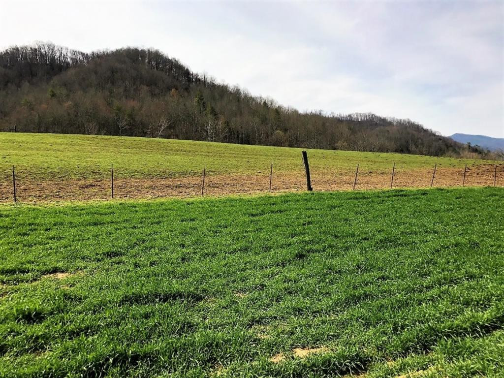 107 Hwy Del Rio Tn 37727, Unit 1 Del Rio, TN 37727 - Photo 6 of 31 Photo 6