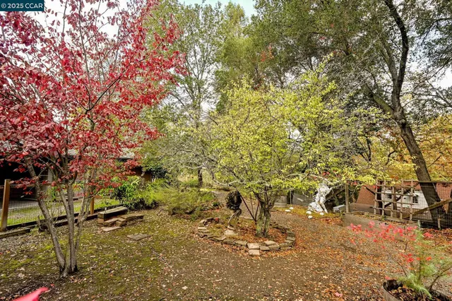 a view of a chairs and table in backyard