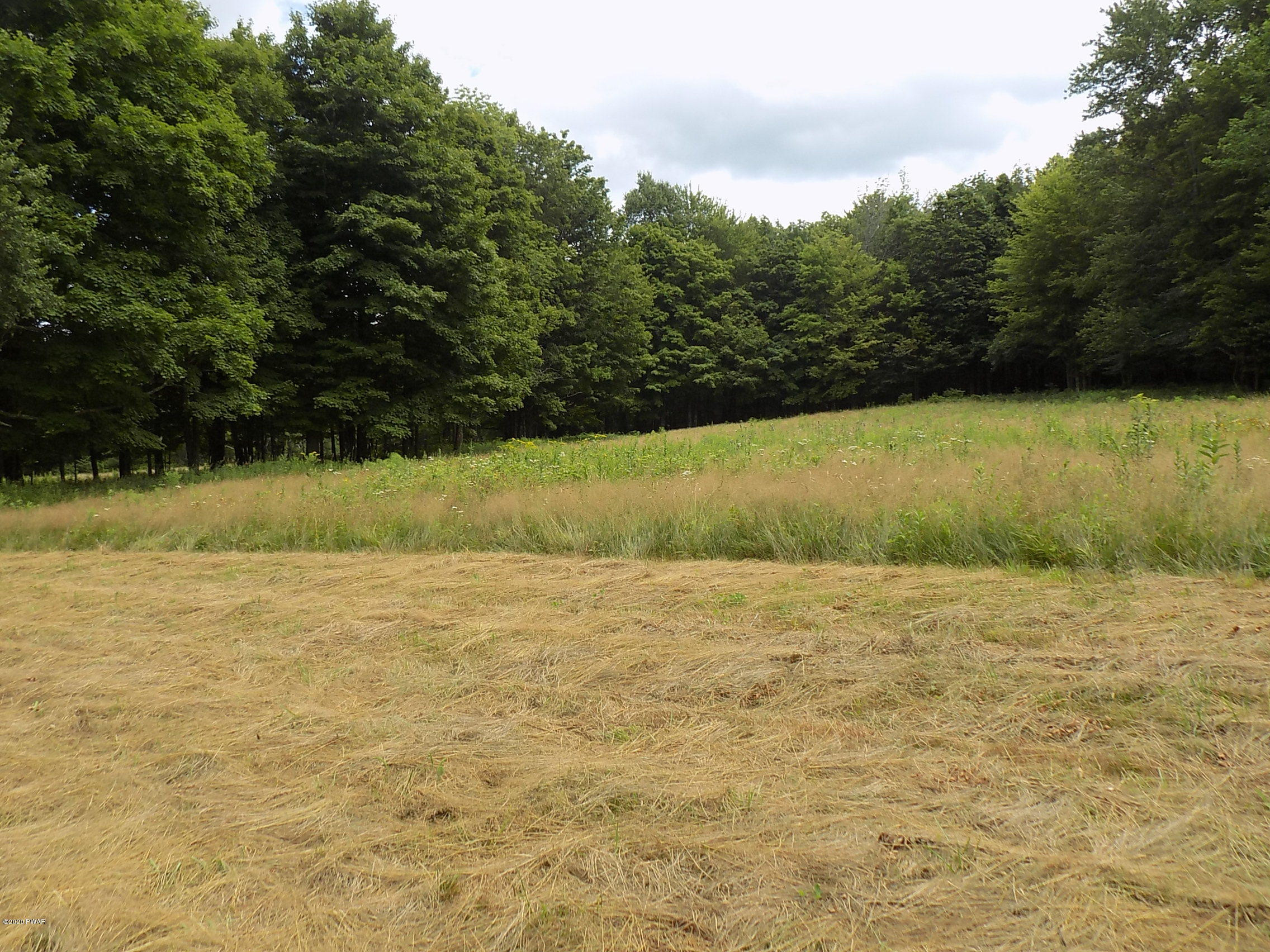 Lot 9 Phillips Road Newfoundland, PA 18445 - Photo 3 of 17