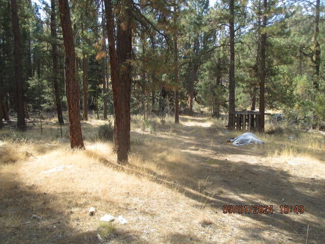 Lot 16 South Packsaddle Circle Beatty, OR 97621 - Photo 8 of 10 IMG_7661