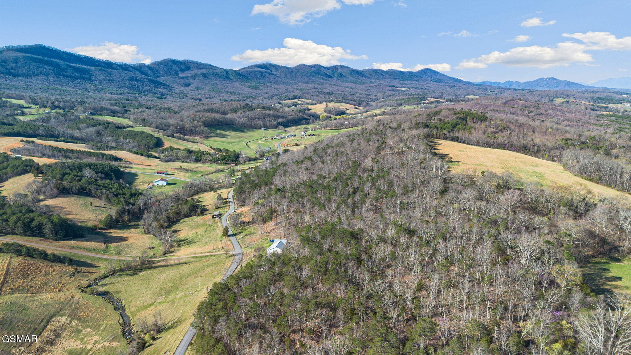 0 Little Meadow Creek Road Greeneville, TN 37743 - Photo 6 of 17