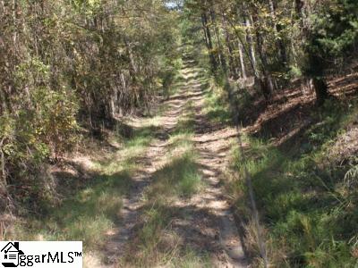 0 Johnson Road, Unit TRACT B Laurens, SC 29360 - Photo 6 of 12