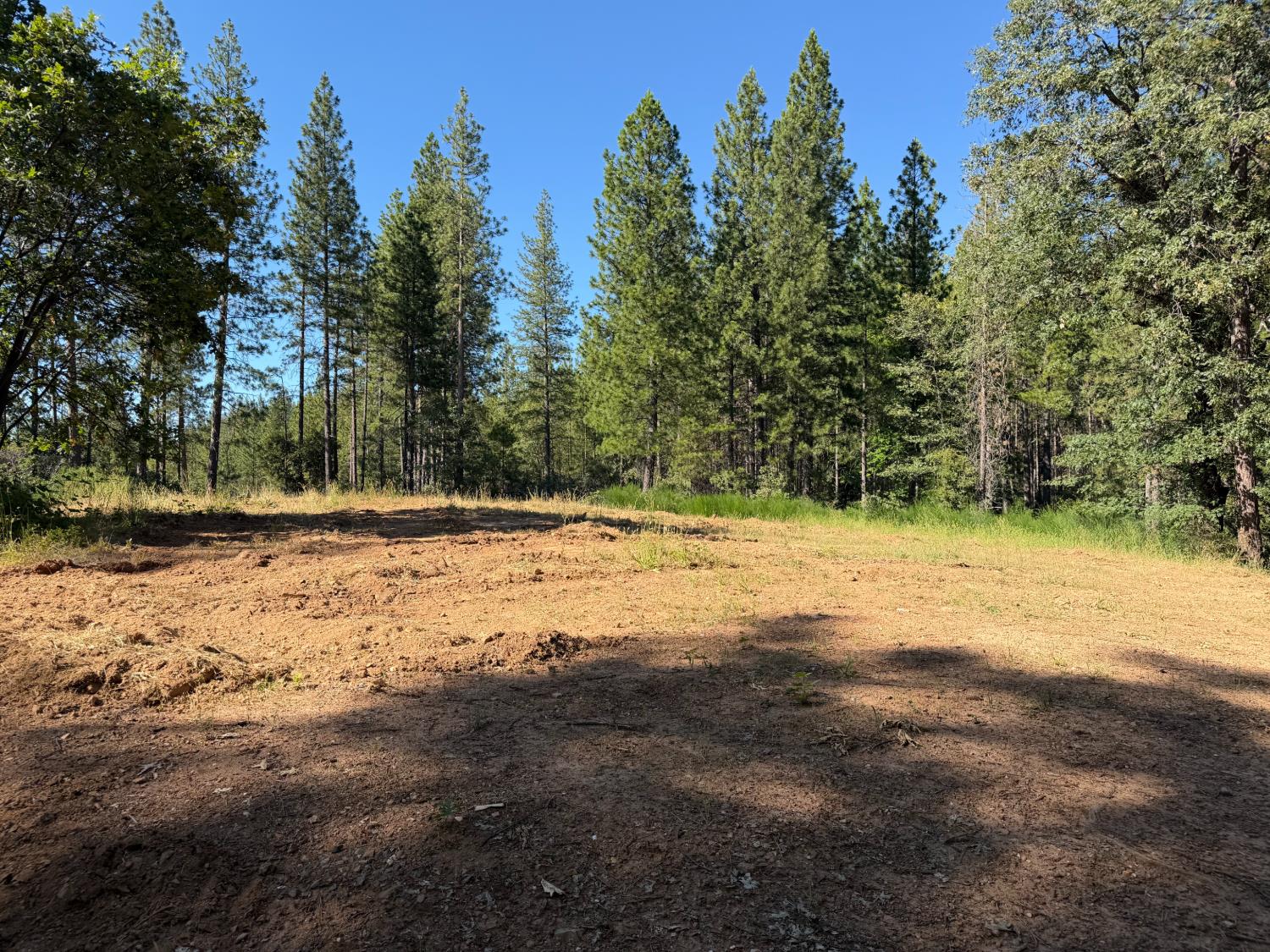 1871 Iowa Hill Road Colfax, CA 95713 - Photo 8 of 21