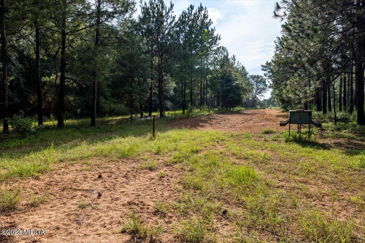 6641 Buckeye Road Perry, GA 31069 - Photo 62 of 92 105-267A2537