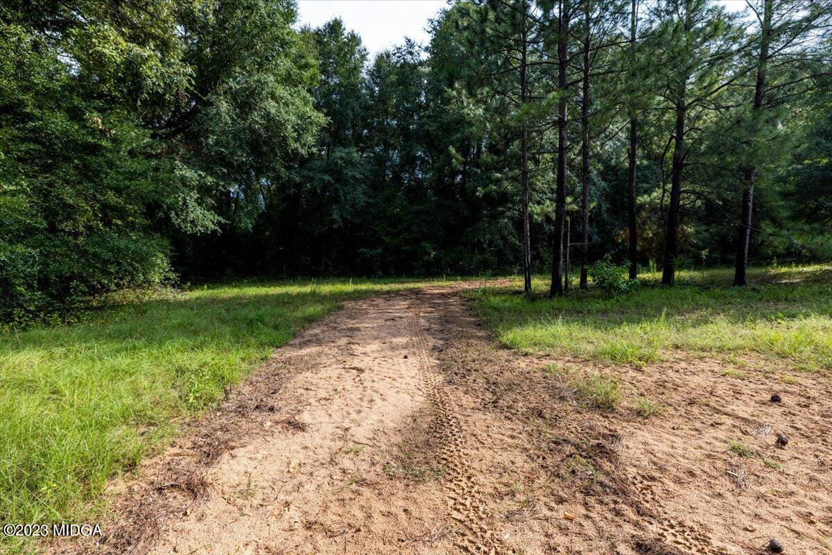 6641 Buckeye Road Perry, GA 31069 - Photo 63 of 92 106-267A2538